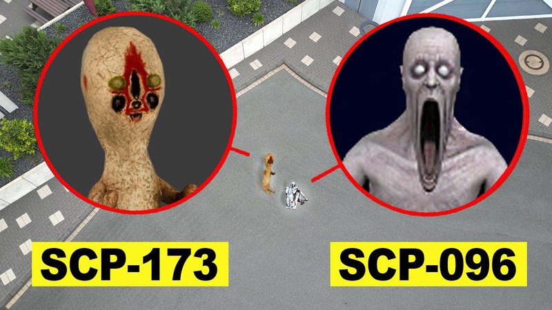 Introduction to chicken road 2